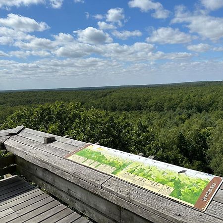 *** Domaine Des Noyers - Proche Centre Ville Шатонёф-сюр-Луар Экстерьер фото