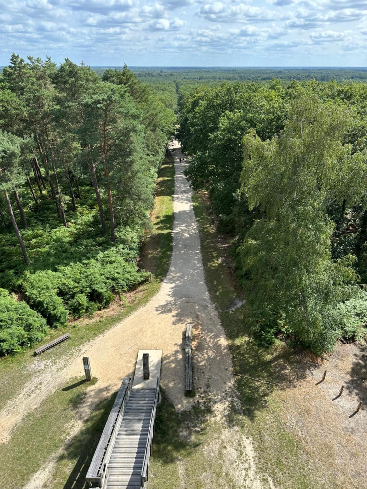 *** Domaine Des Noyers - Proche Centre Ville Шатонёф-сюр-Луар Экстерьер фото